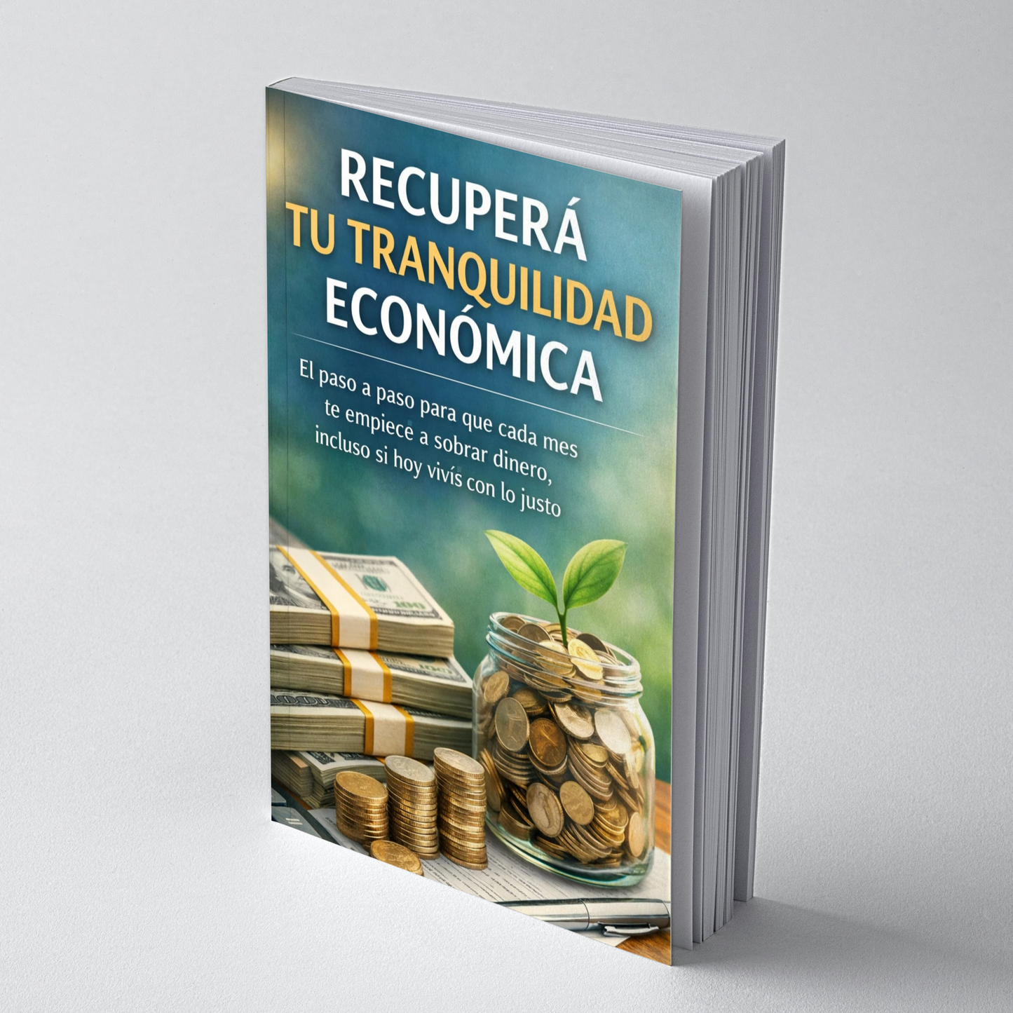 Recuperá Tu Tranquilidad Económica